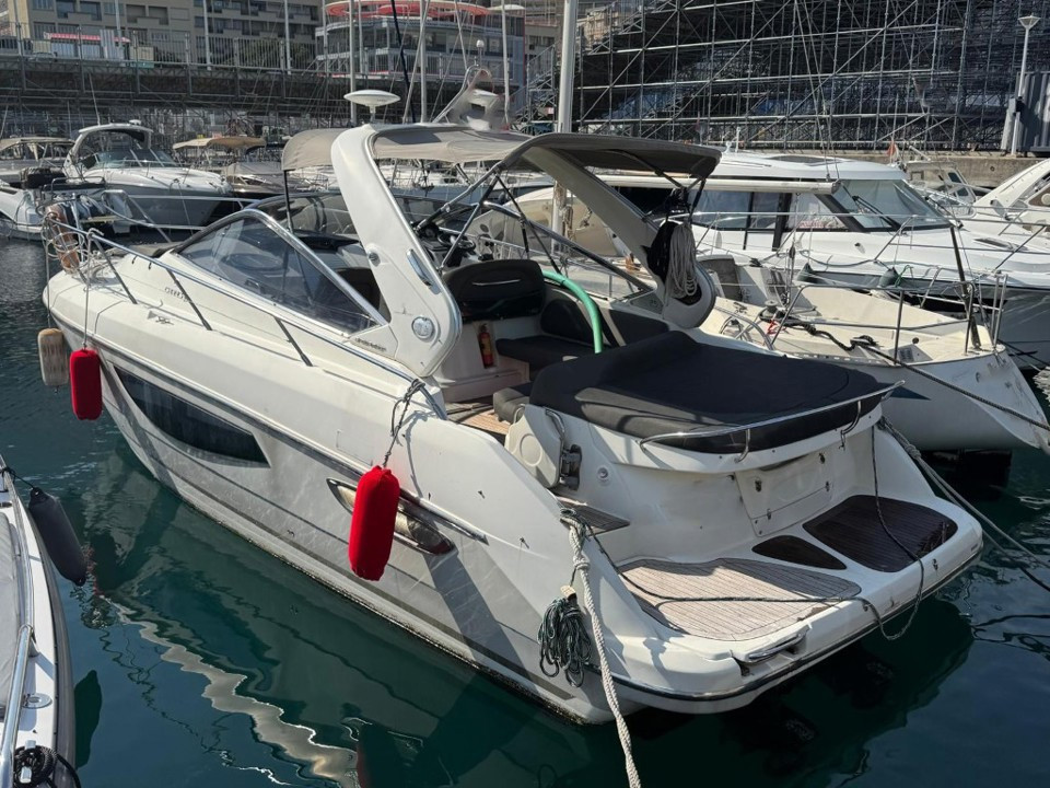 Banner cranchi endurance 33