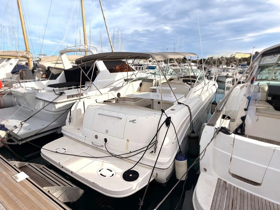 Banner SEA RAY 290 amberjack