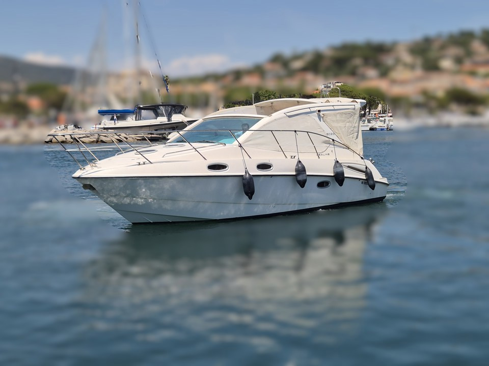 Banner Sealine sc 29